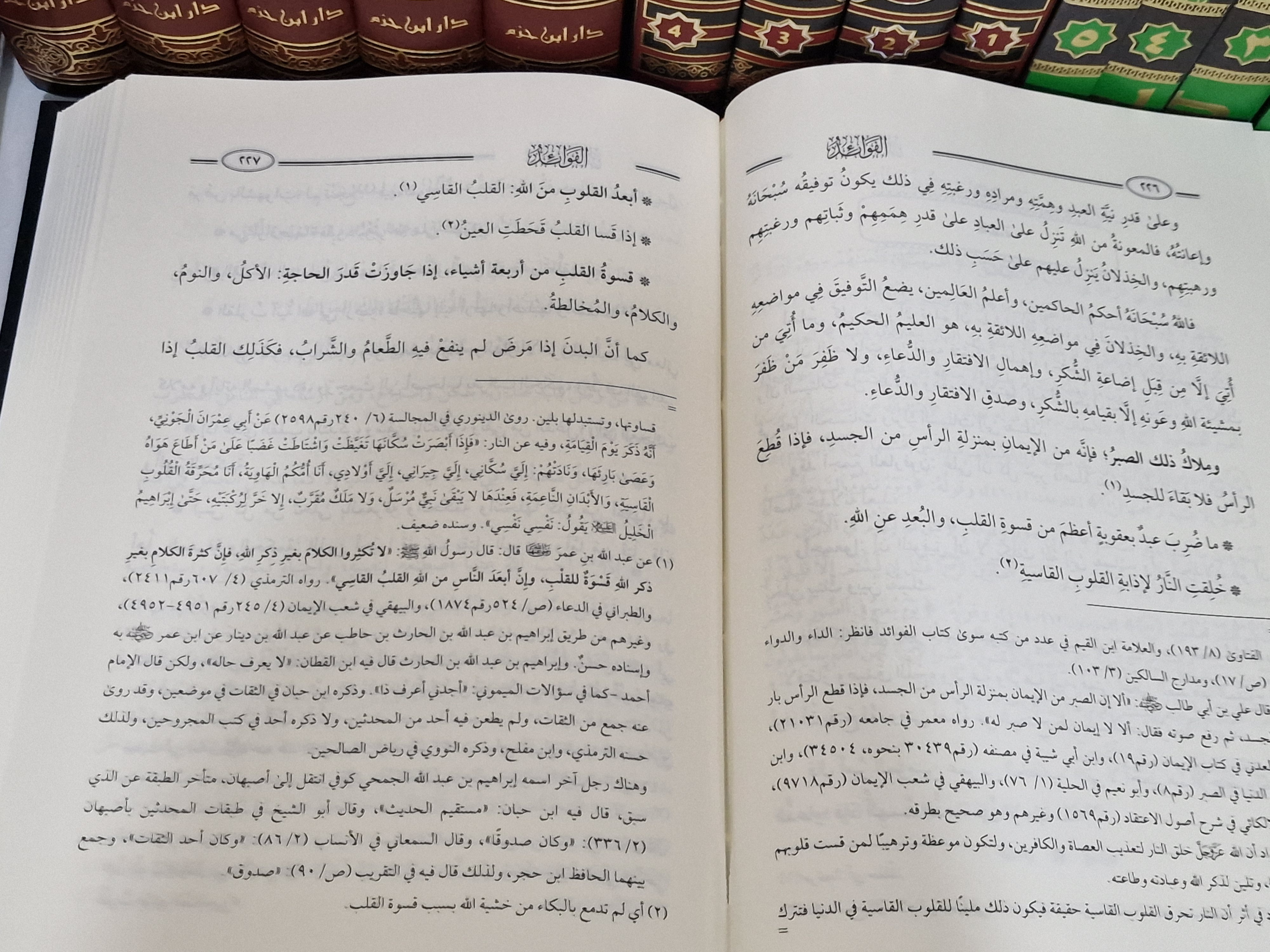 صورة إضافية