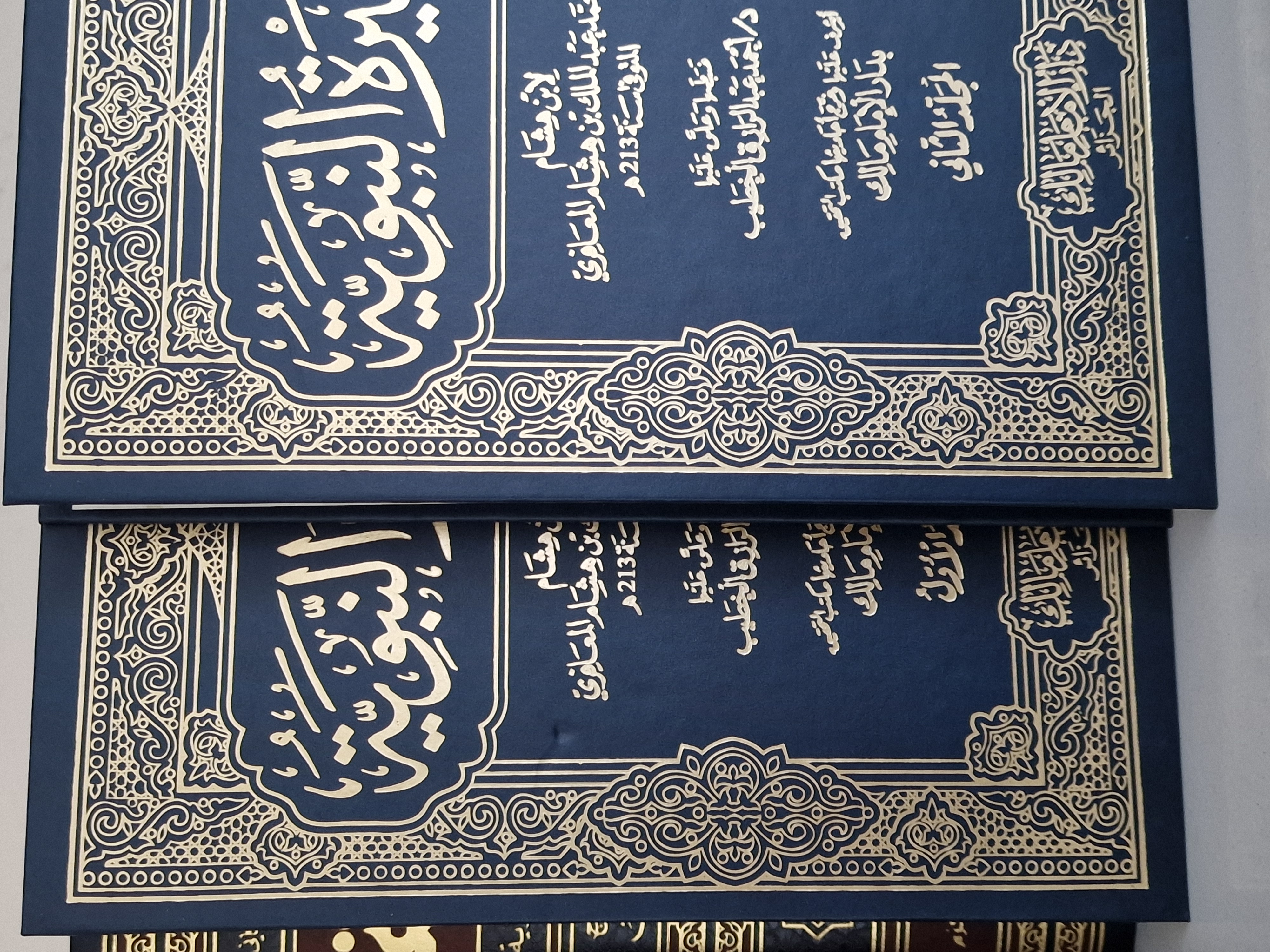 صورة إضافية