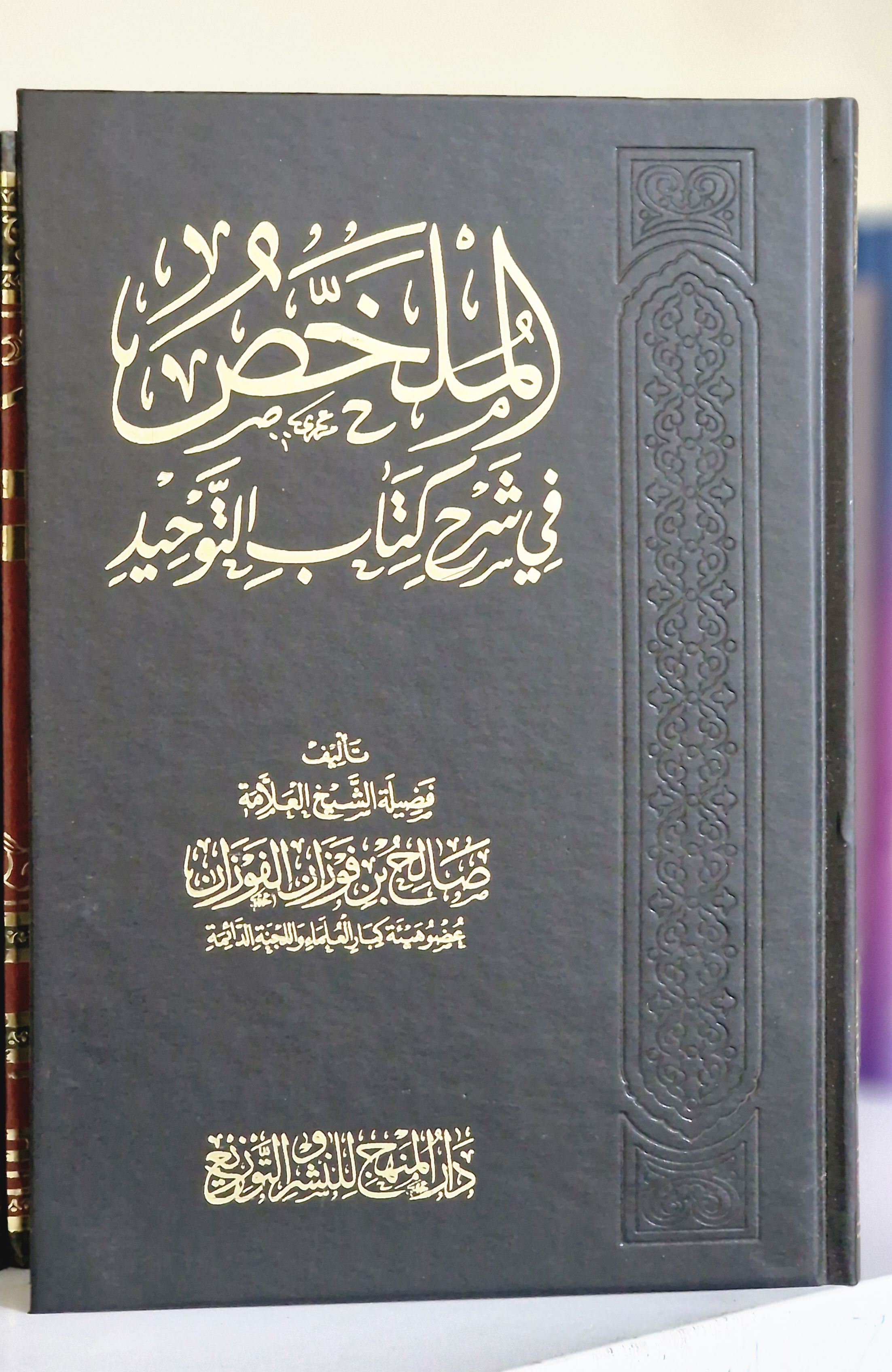 صورة إضافية