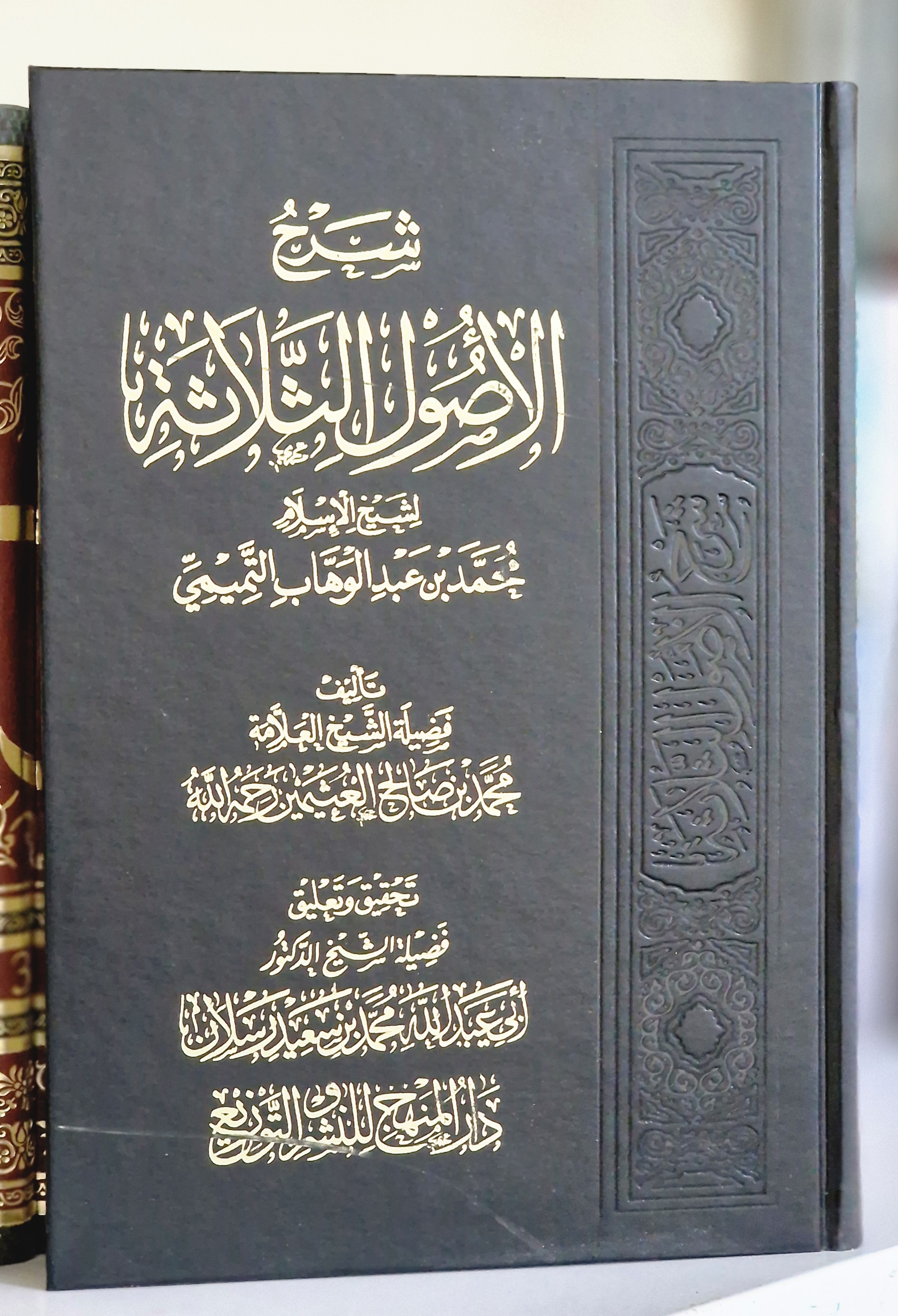 صورة إضافية